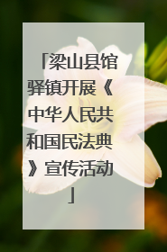 梁山县馆驿镇开展《中华人民共和国民法典》宣传活动