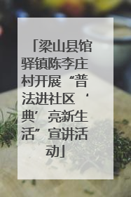梁山县馆驿镇陈李庄村开展“普法进社区‘典’亮新生活”宣讲活动