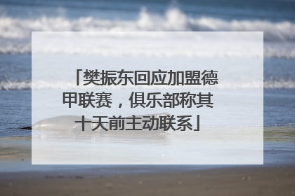 樊振东回应加盟德甲联赛，俱乐部称其十天前主动联系