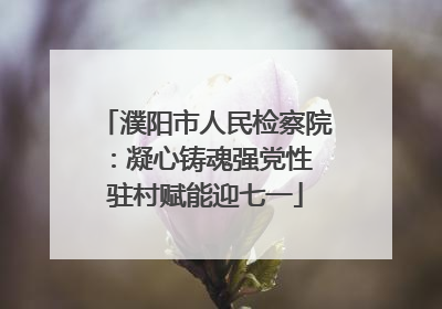 濮阳市人民检察院：凝心铸魂强党性 驻村赋能迎七一