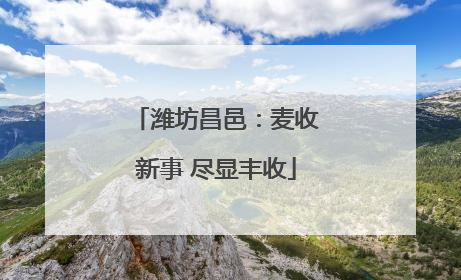 潍坊昌邑：麦收新事 尽显丰收