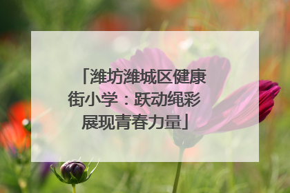 潍坊潍城区健康街小学：跃动绳彩展现青春力量