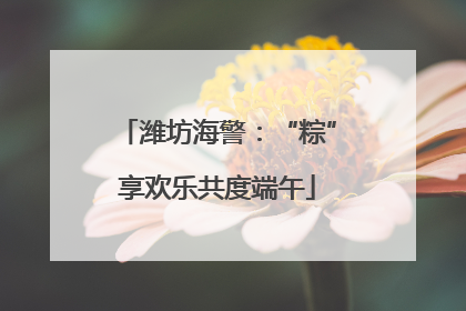 潍坊海警：“粽”享欢乐共度端午