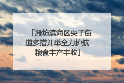 潍坊滨海区央子街道多措并举全力护航粮食丰产丰收
