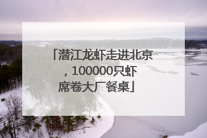 潜江龙虾走进北京，100000只虾席卷大厂餐桌