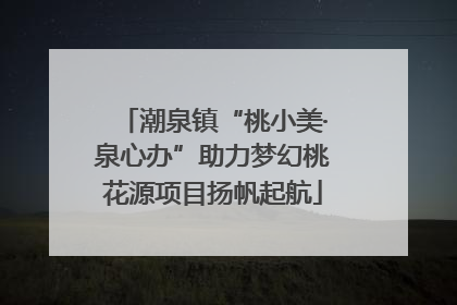 潮泉镇“桃小美·泉心办”助力梦幻桃花源项目扬帆起航