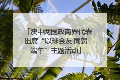 澳中两国政商界代表出席“以球会友·同贺端午”主题活动