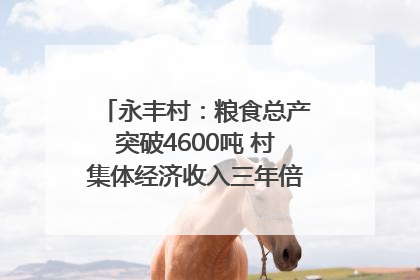 永丰村：粮食总产突破4600吨 村集体经济收入三年倍增｜牵挂的村