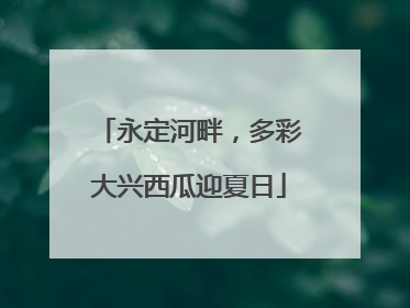永定河畔，多彩大兴西瓜迎夏日