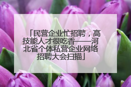 民营企业忙招聘，高技能人才很吃香——河北省个体私营企业网络招聘大会扫描