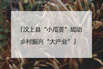 汶上县“小瓜蒌”撬动乡村振兴“大产业”
