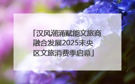 汉风潮涌赋能文旅商融合发展2025未央区文旅消费季启幕
