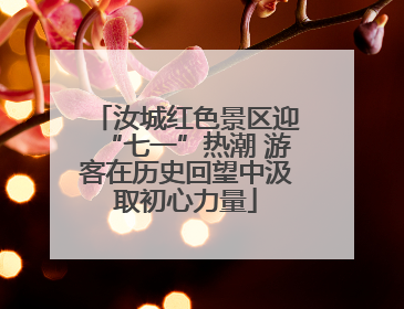 汝城红色景区迎“七一”热潮 游客在历史回望中汲取初心力量