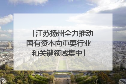 江苏扬州全力推动国有资本向重要行业和关键领域集中