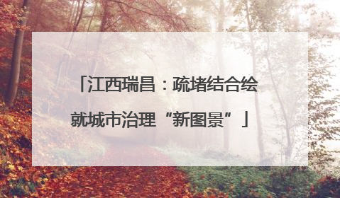 江西瑞昌：疏堵结合绘就城市治理“新图景”