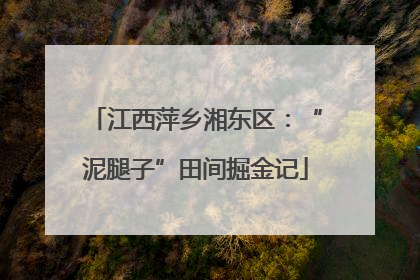 江西萍乡湘东区：“泥腿子”田间掘金记