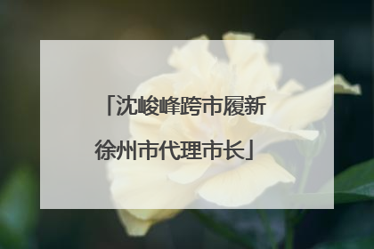 沈峻峰跨市履新徐州市代理市长