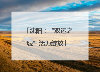 沈阳：“双运之城”活力绽放