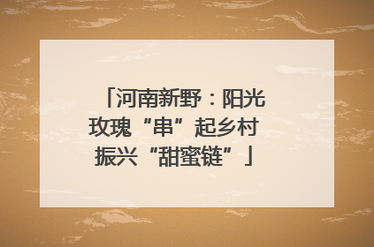河南新野：阳光玫瑰“串”起乡村振兴“甜蜜链”