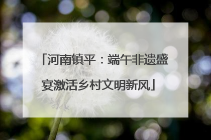 河南镇平：端午非遗盛宴激活乡村文明新风