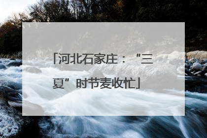 河北石家庄：“三夏”时节麦收忙
