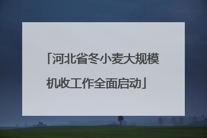 河北省冬小麦大规模机收工作全面启动