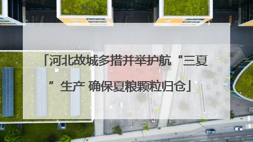 河北故城多措并举护航“三夏”生产 确保夏粮颗粒归仓