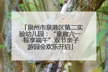 泉州市泉港区第二实验幼儿园：“童趣六一·粽享端午”双节亲子游园会欢乐开启