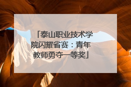 泰山职业技术学院闪耀省赛：青年教师勇夺一等奖
