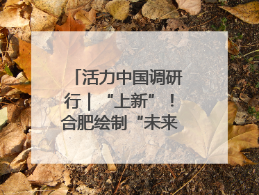 活力中国调研行｜“上新”！合肥绘制“未来产业图谱”