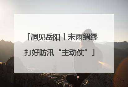 洞见岳阳丨未雨绸缪 打好防汛“主动仗”