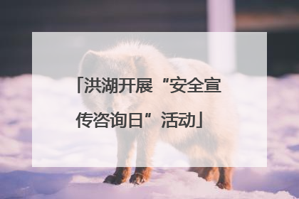 洪湖开展“安全宣传咨询日”活动