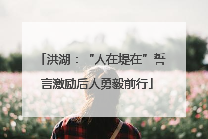 洪湖：“人在堤在”誓言激励后人勇毅前行