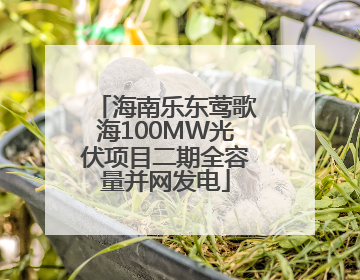海南乐东莺歌海100MW光伏项目二期全容量并网发电