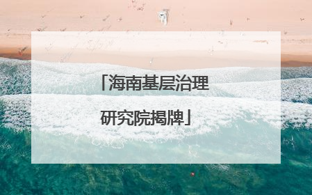 海南基层治理研究院揭牌