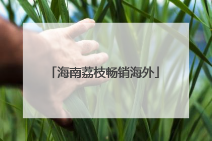海南荔枝畅销海外
