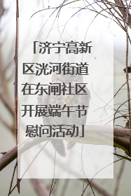 济宁高新区洸河街道在东闸社区开展端午节慰问活动