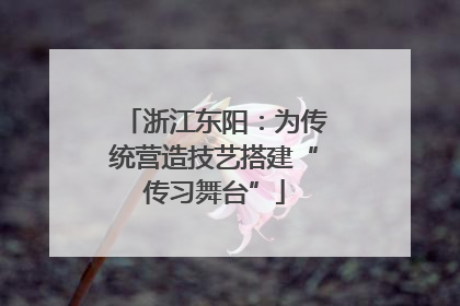 浙江东阳：为传统营造技艺搭建“传习舞台”