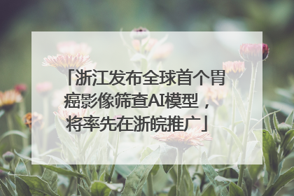 浙江发布全球首个胃癌影像筛查AI模型，将率先在浙皖推广