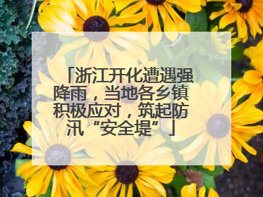 浙江开化遭遇强降雨，当地各乡镇积极应对，筑起防汛“安全堤”
