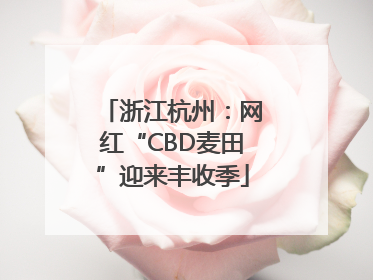 浙江杭州：网红“CBD麦田”迎来丰收季