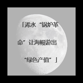浠水“锅炉革命”让海鳗游出“绿色产值”