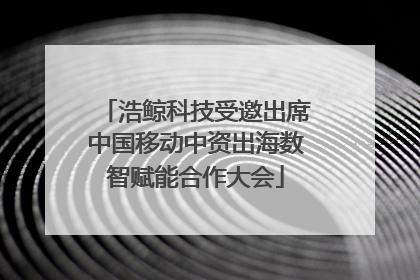 浩鲸科技受邀出席中国移动中资出海数智赋能合作大会
