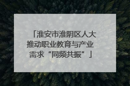 淮安市淮阴区人大推动职业教育与产业需求“同频共振”