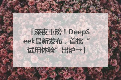深夜重磅！DeepSeek最新发布，首批“试用体验”出炉→