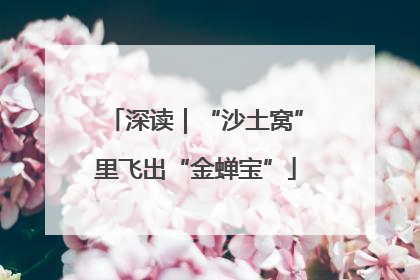 深读｜“沙土窝”里飞出“金蝉宝”