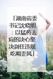 湖南省委书记沈晓明：以猛药去疴的决心坚决刹住违规吃喝歪风
