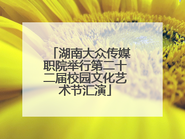 湖南大众传媒职院举行第二十二届校园文化艺术节汇演