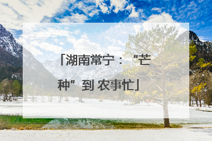湖南常宁：“芒种”到 农事忙