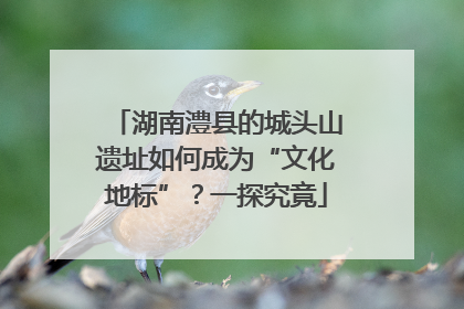 湖南澧县的城头山遗址如何成为“文化地标”？一探究竟
